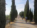 MTBTOSCANA2011  (93)